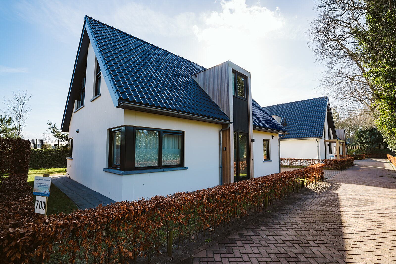 Luxe Villa op park Duinzicht (huis 703) - Ouddorp