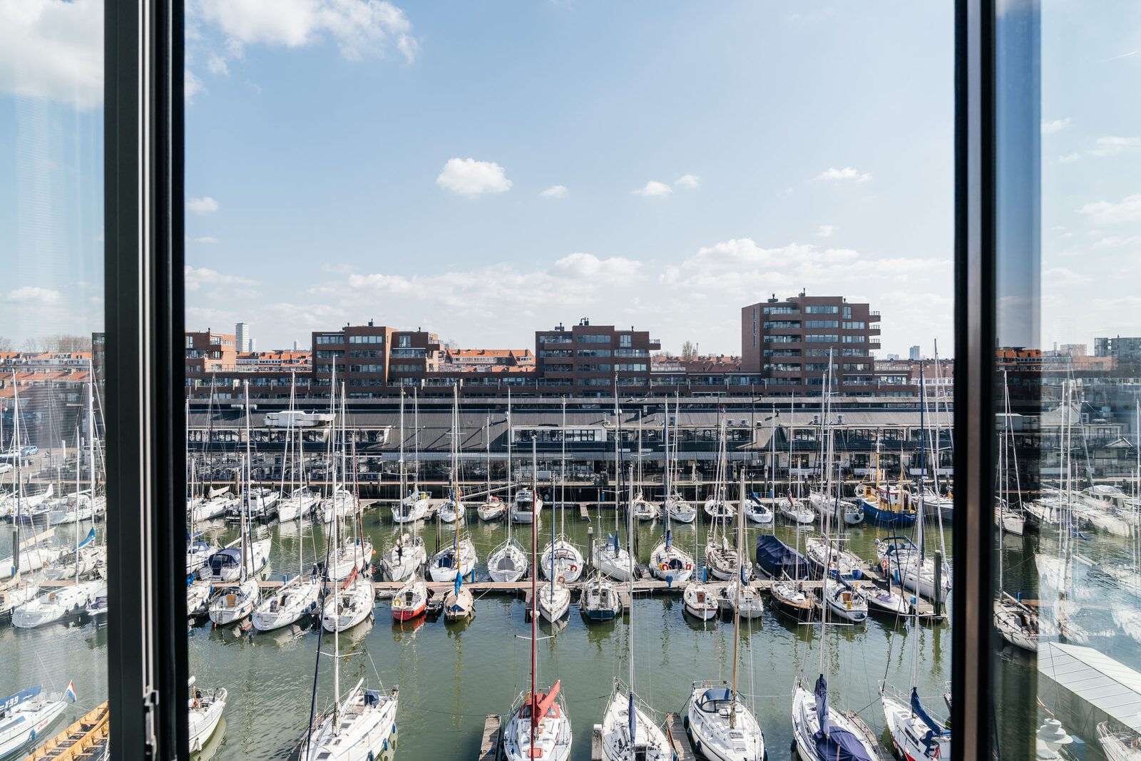 Harbour 80B