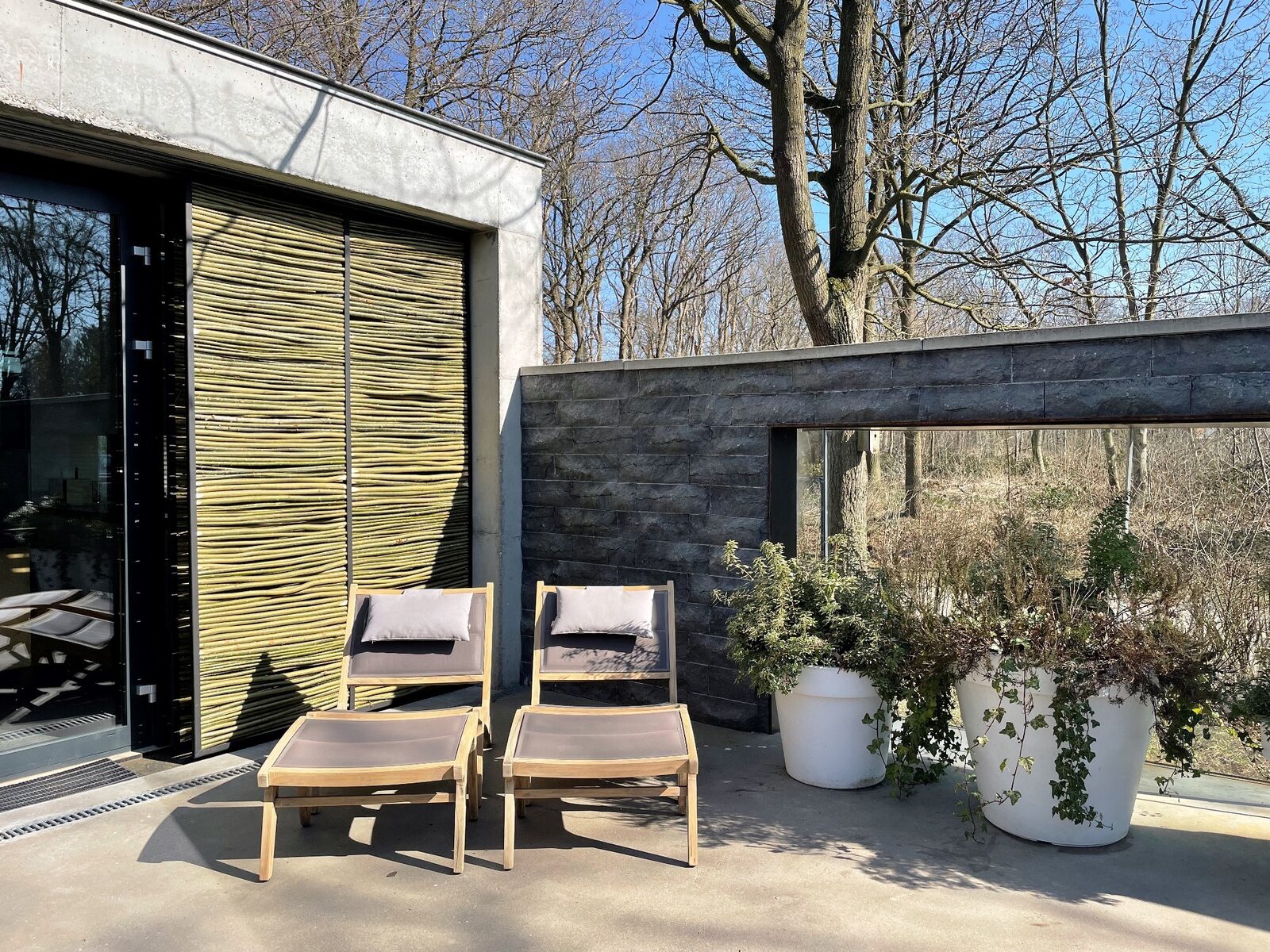 Betonnen Boshuis - luxe wellness vakantiehuis in Brabant