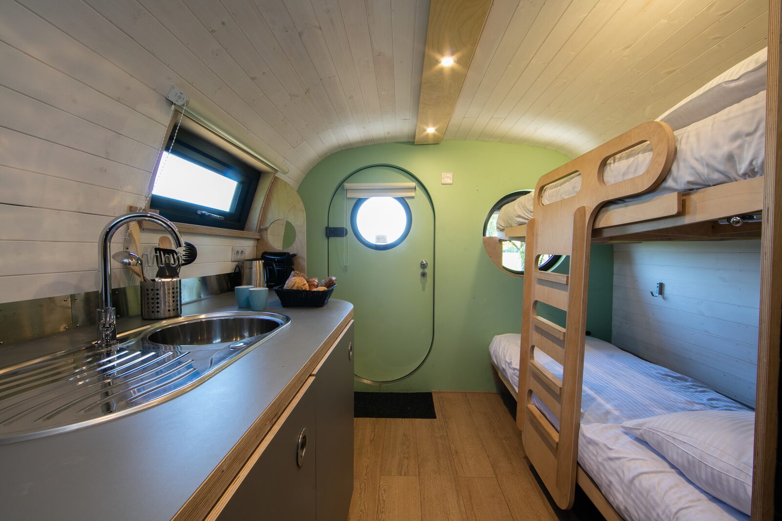 Anthropod