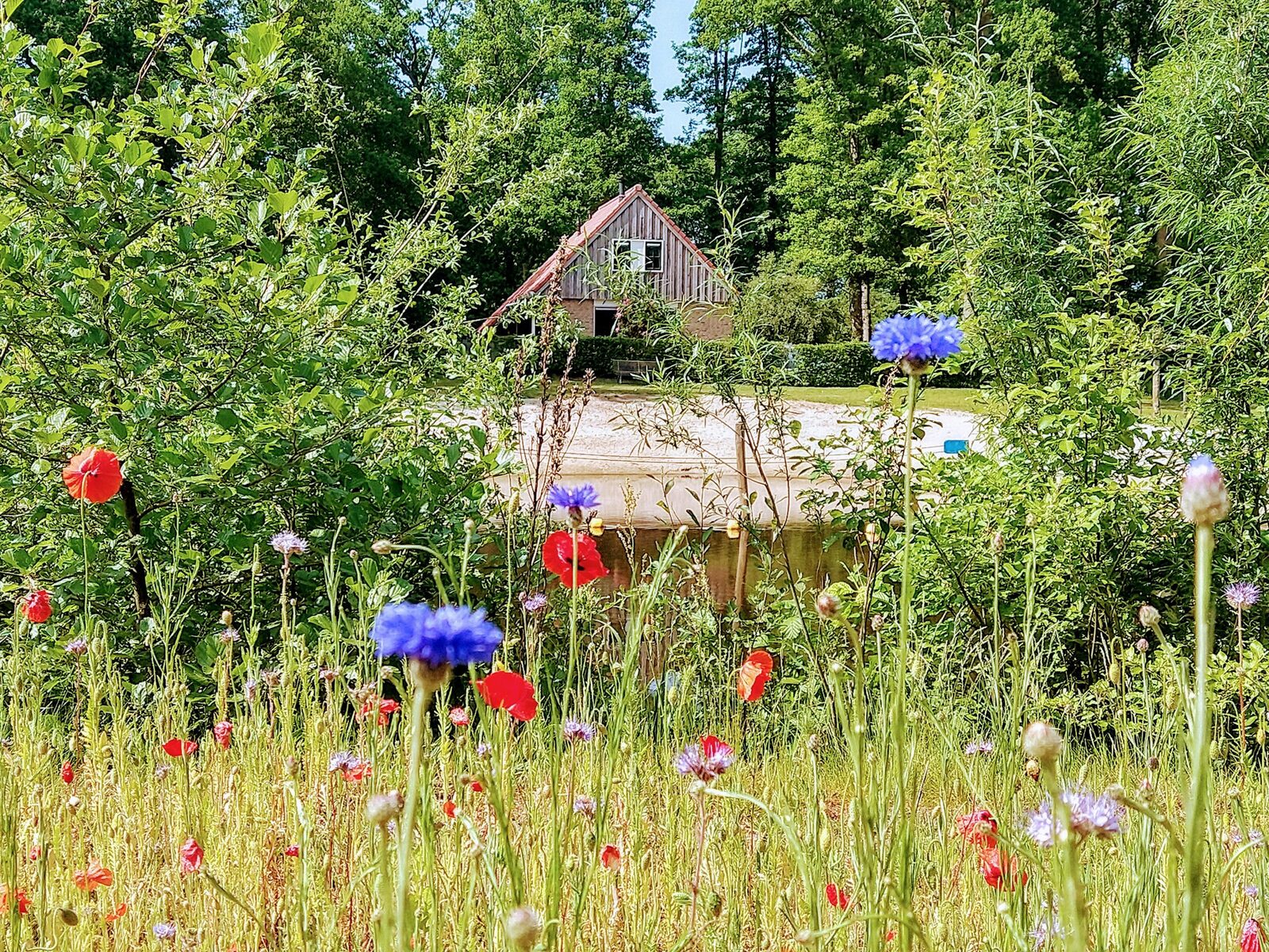 Vechtoever Bungalow (5 people)