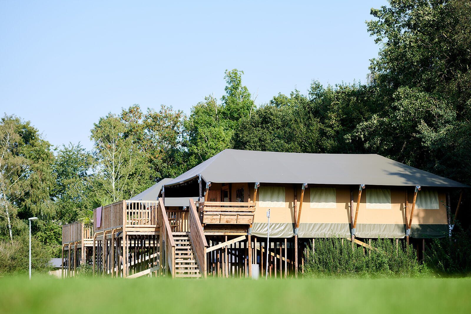 Safaricottage XL |  6 personen