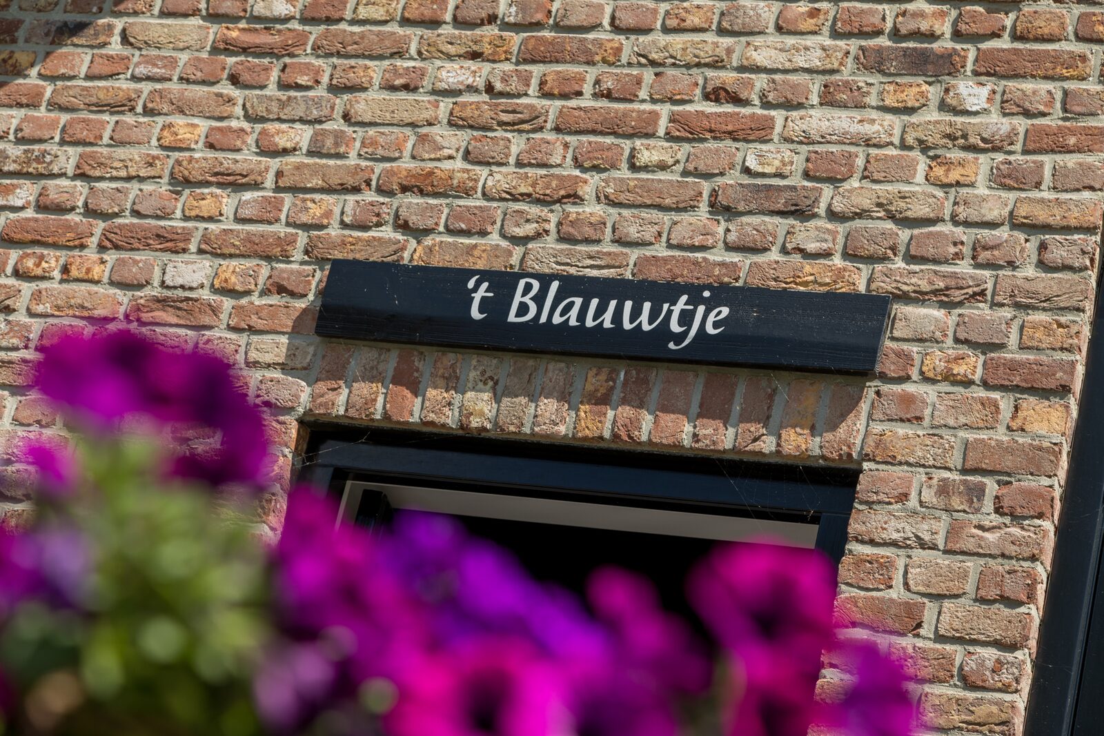 Holidayhouse - Lepelstraat 18A | Vrouwenpolder "'t Blauwtje"