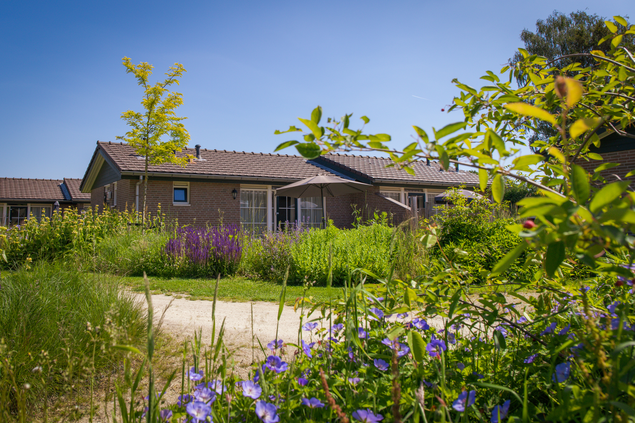 4-person bungalow Heuveltjes
