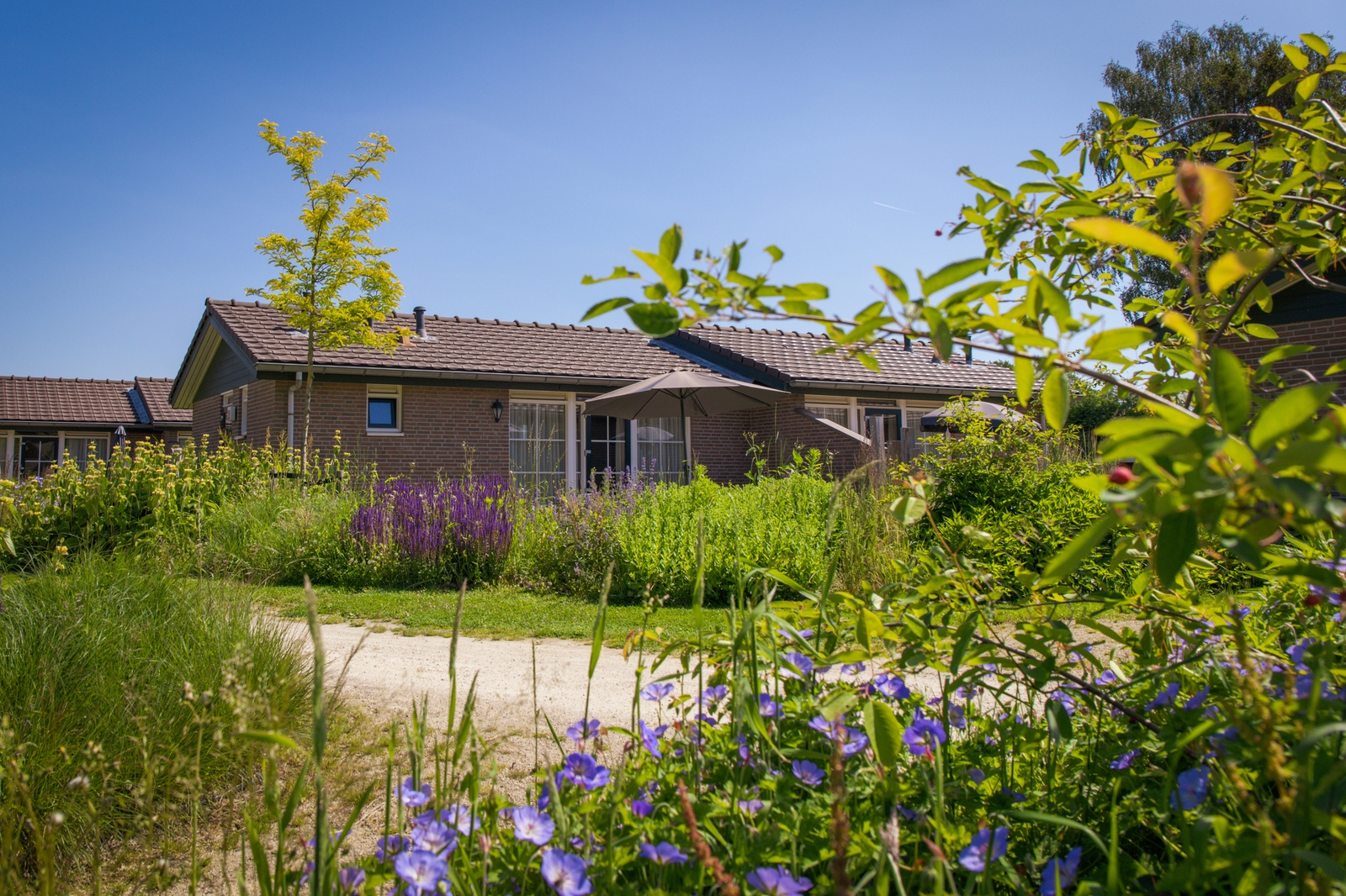 Bungalow Heuveltjes | 4 personen
