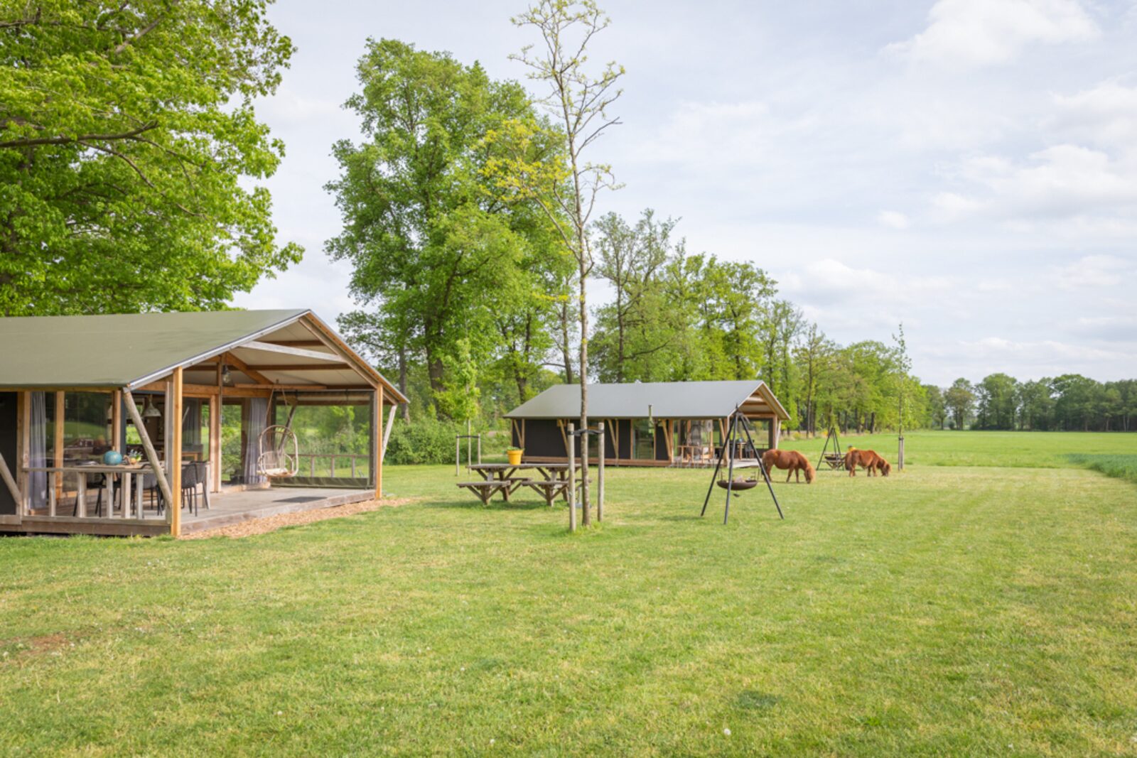 Luxe lodge met vaatwasser en oventje.