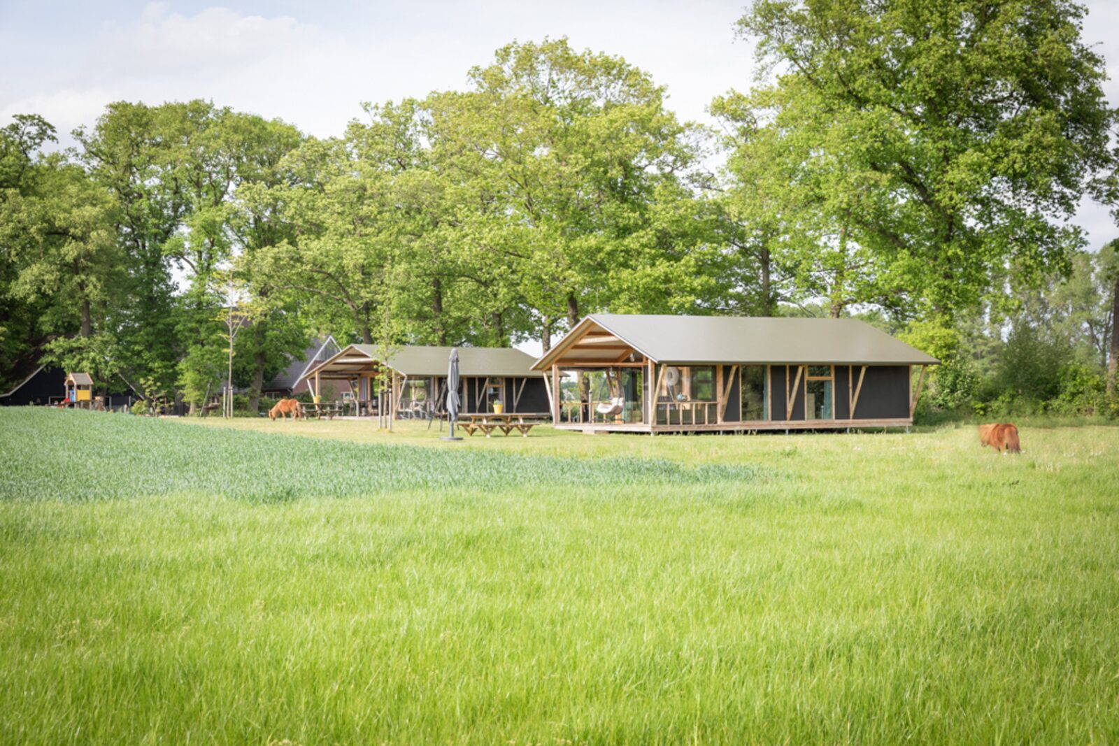 Luxe lodge met vaatwasser en oventje.