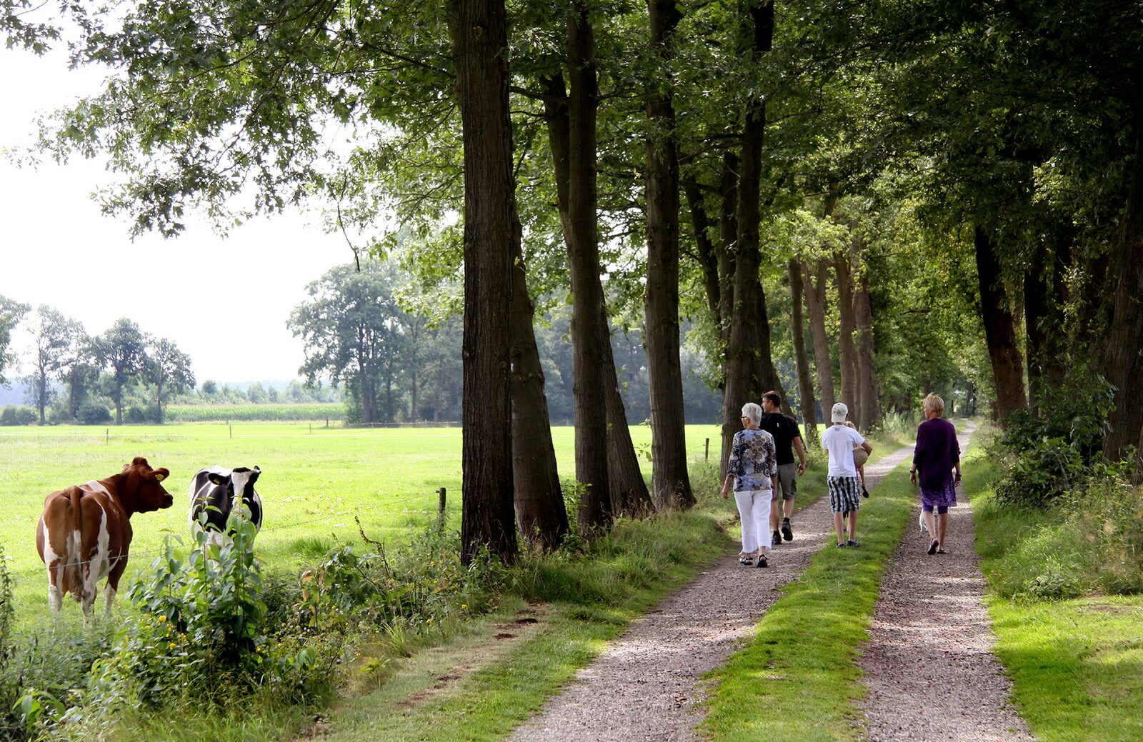 Luxe lodge nieuw met oven