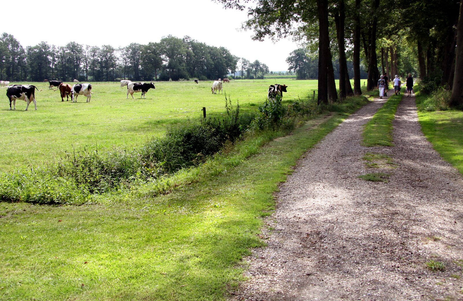 Luxe lodge met vaatwasser en oventje.