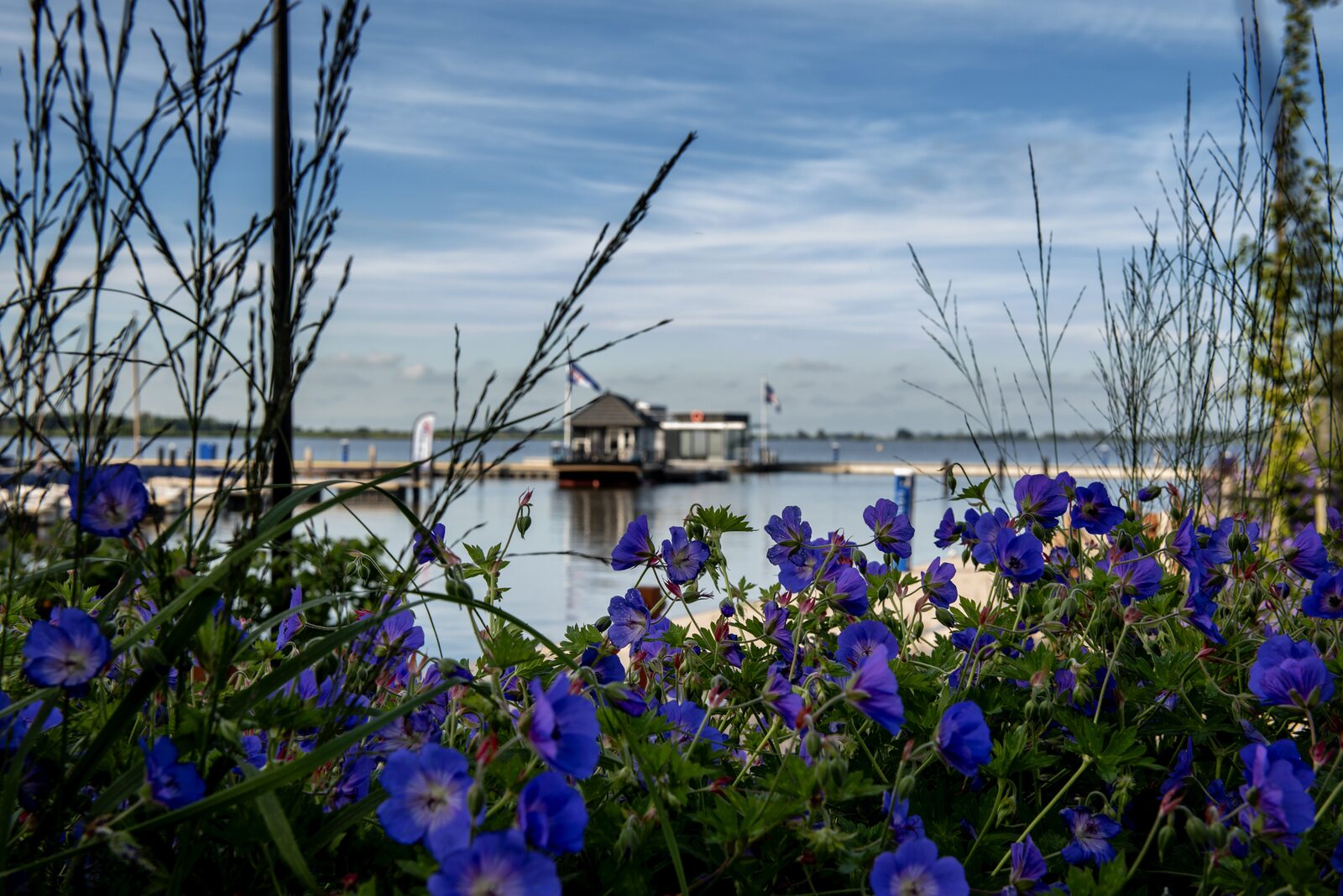Houseboat 'Elysium' met eigen aanlegsteiger - Paviljoenwei 4-14 | Sneek (Offingawier)