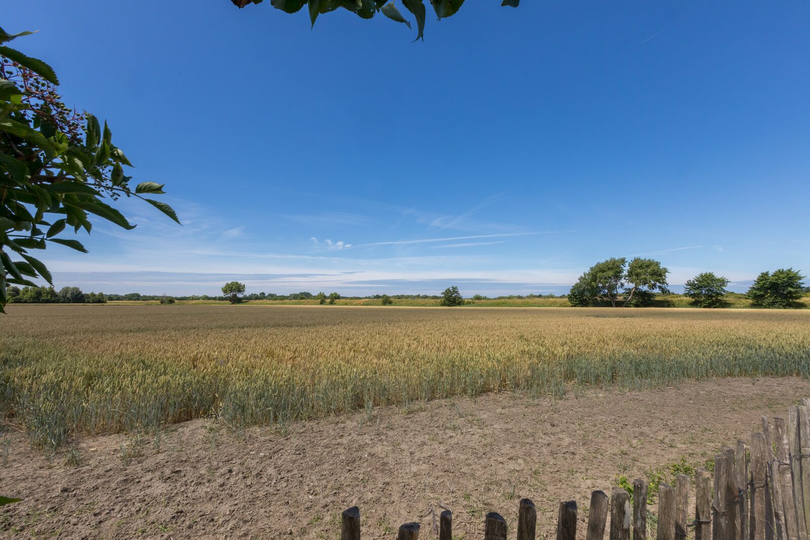 Wikkelhouse - Kon. Emmaweg 6 | Vrouwenpolder 