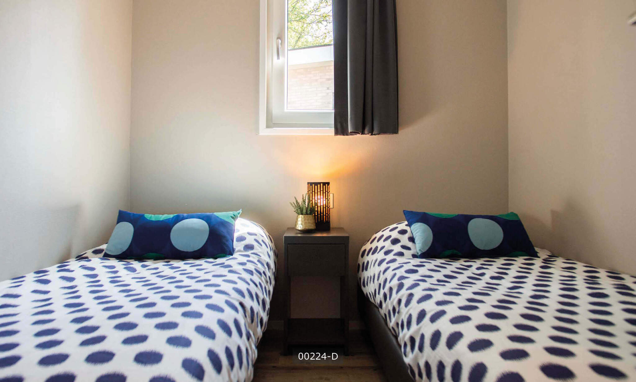 Swimming pool area near Belvedere 6 people in Netherlands