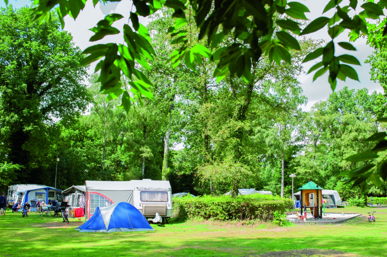 Kampeerplaats hondenvrij