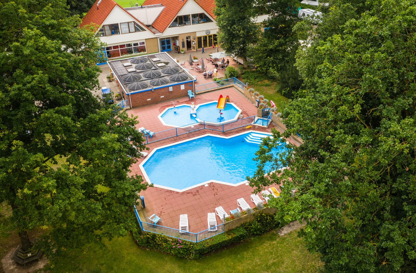 Kampeerplaats hondenvrij
