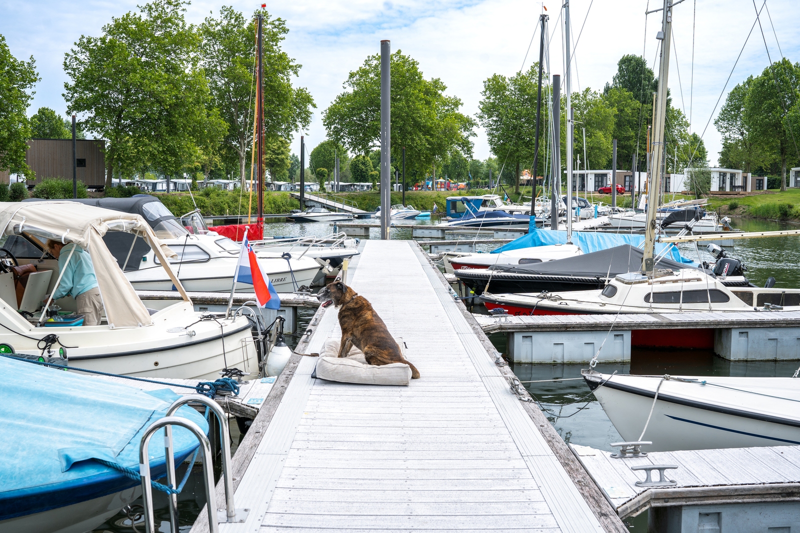Villa Maritiem - am Wasser | 4 Pers.