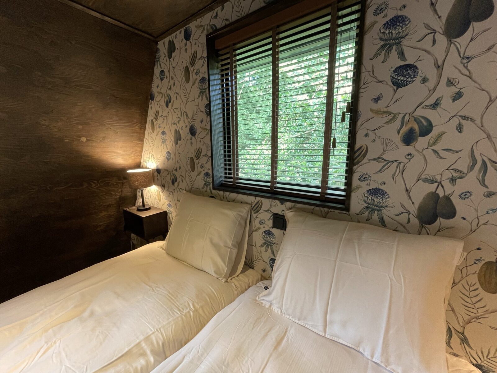 6-persoons Duinlodge met Oplaadpunt