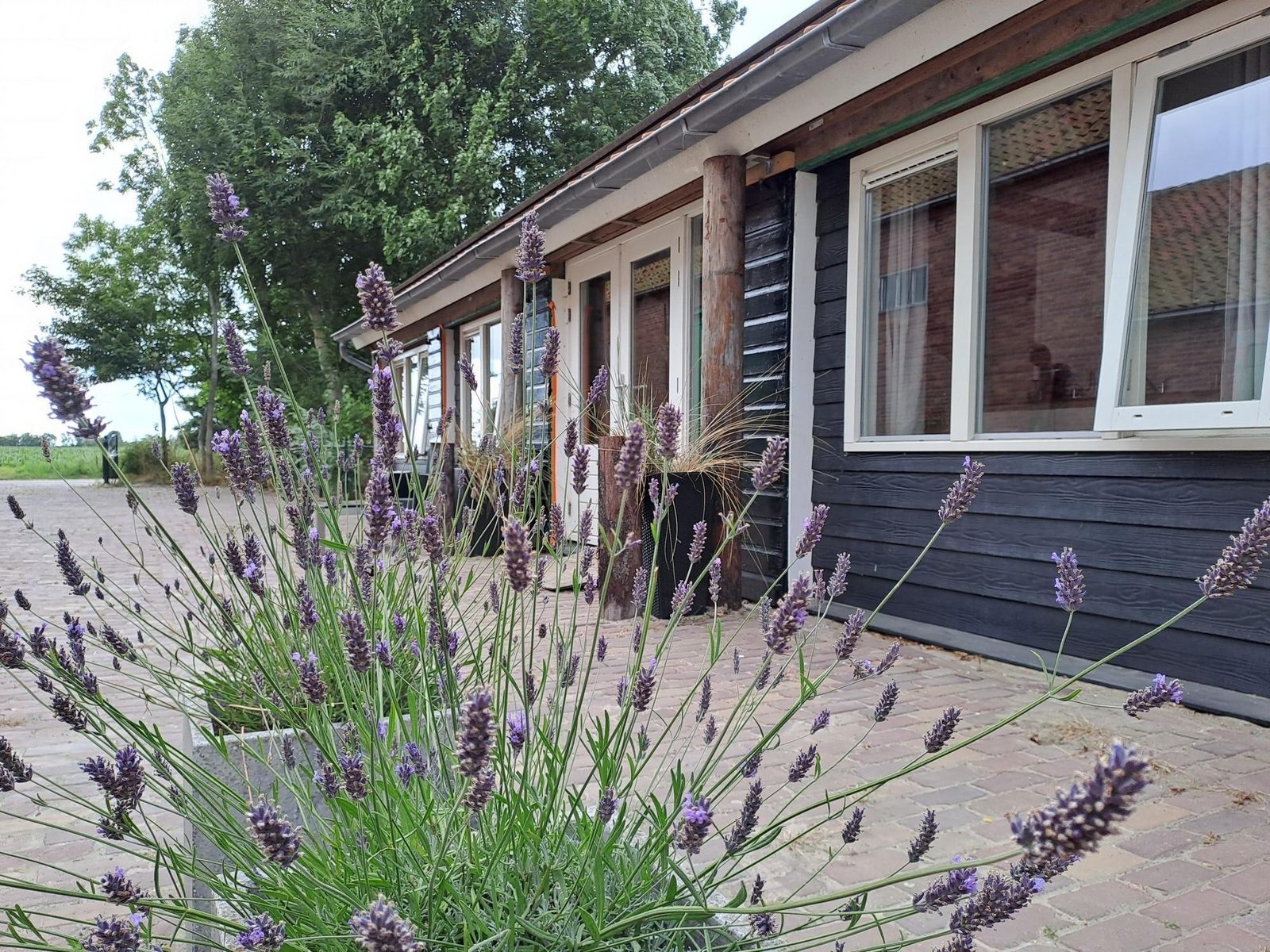 VZ494 Holiday home Grijpskerke