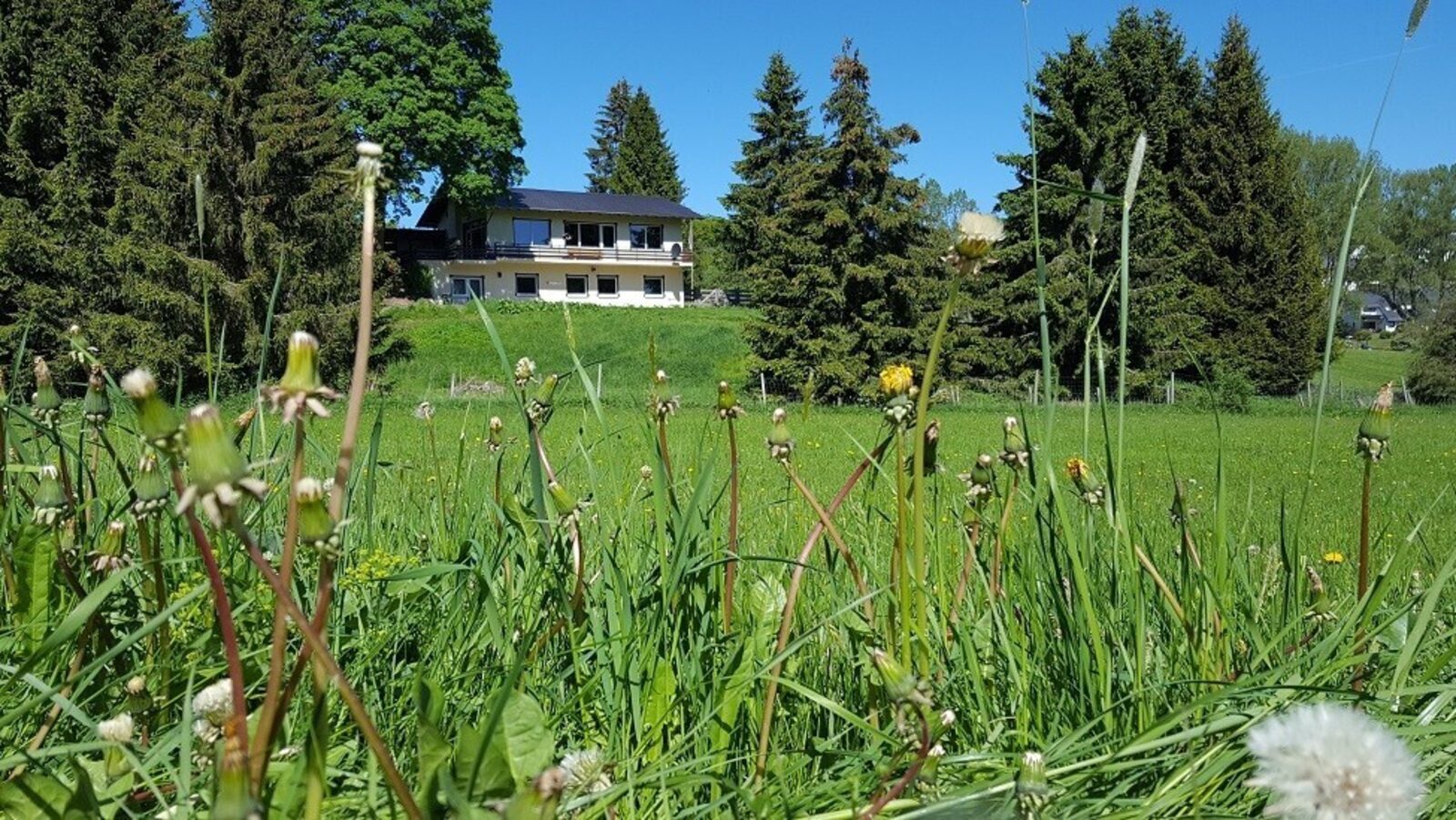 Naturhaus