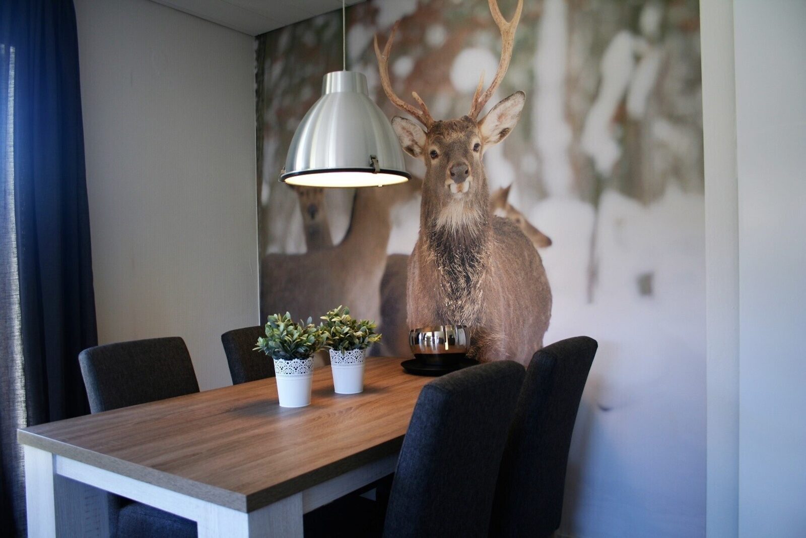 Apartment Auf der Platte 1