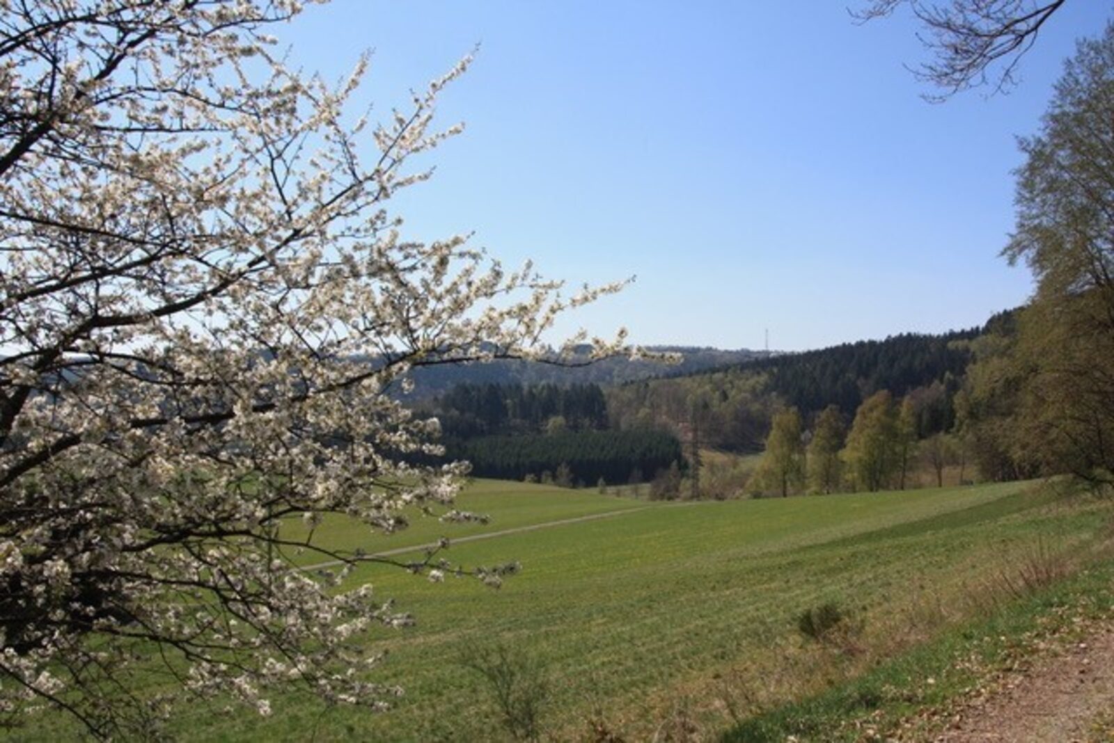 Apartment Auf der Platte 2