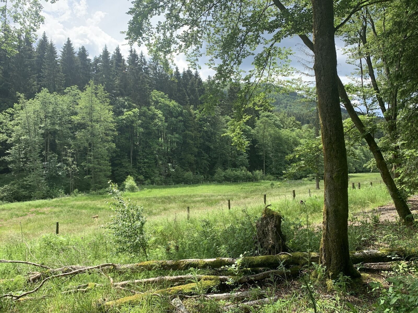 Apartment Rothaarsteig