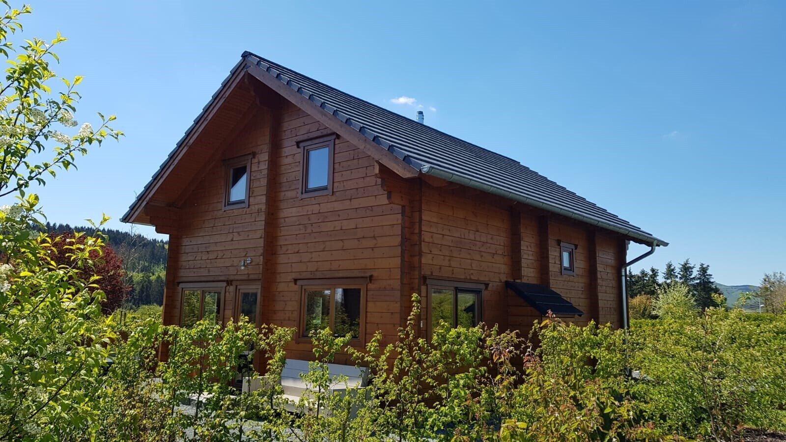 Ecolodge 2