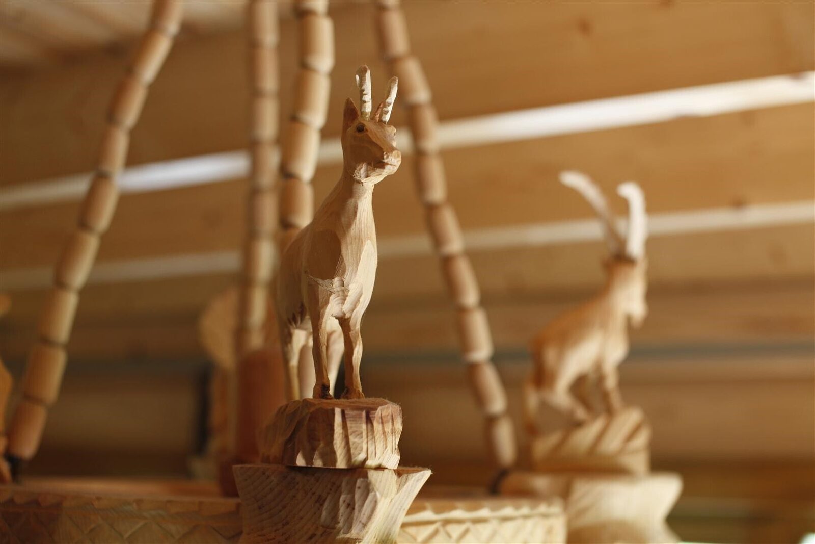 Ecolodge 1
