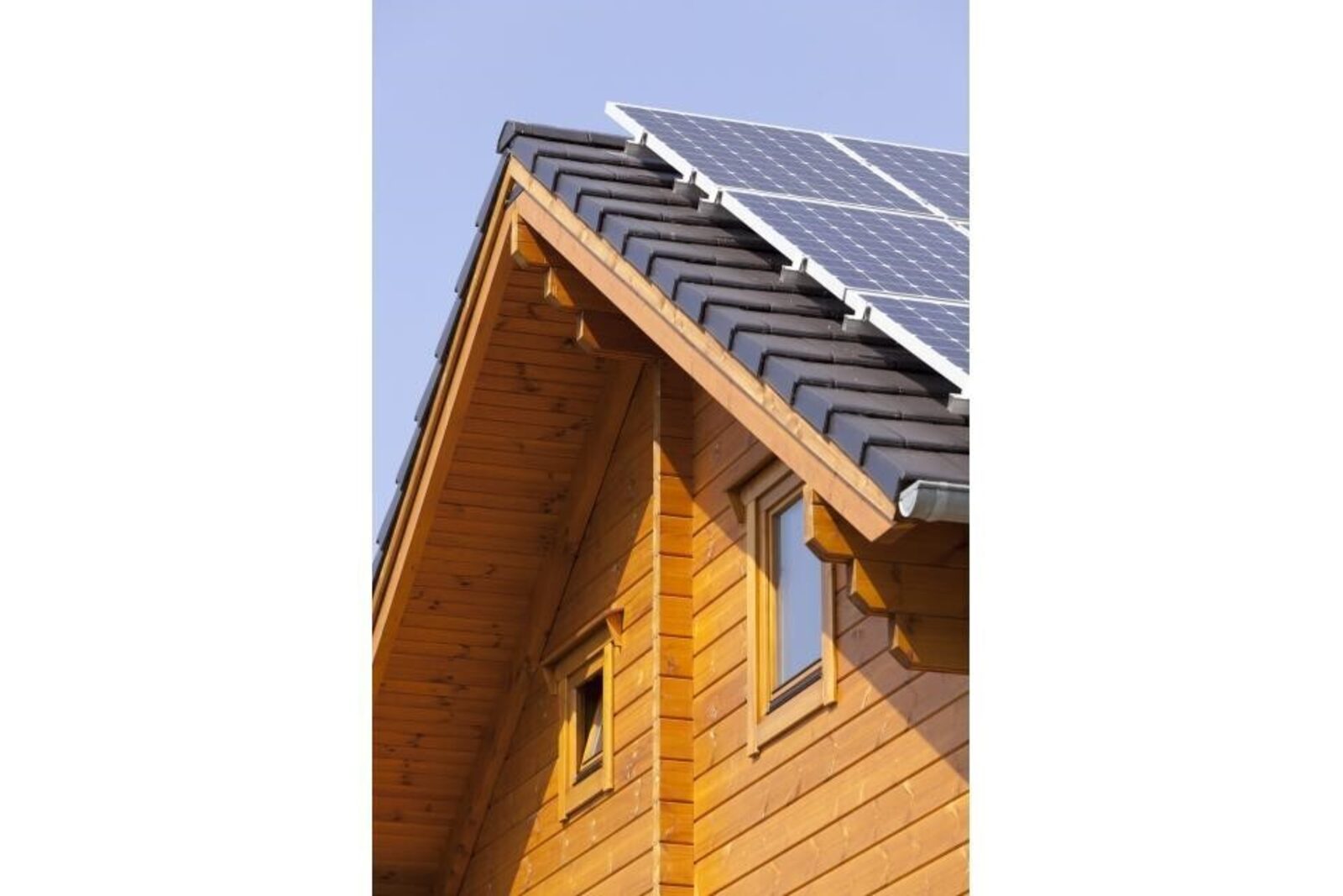 Ecolodge 1