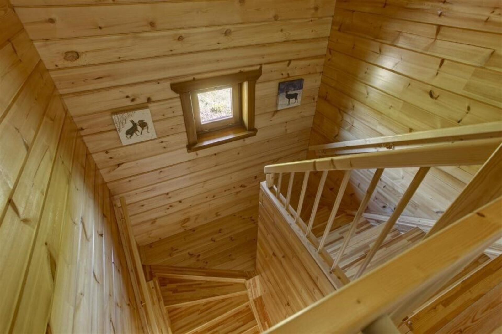 Ecolodge 1