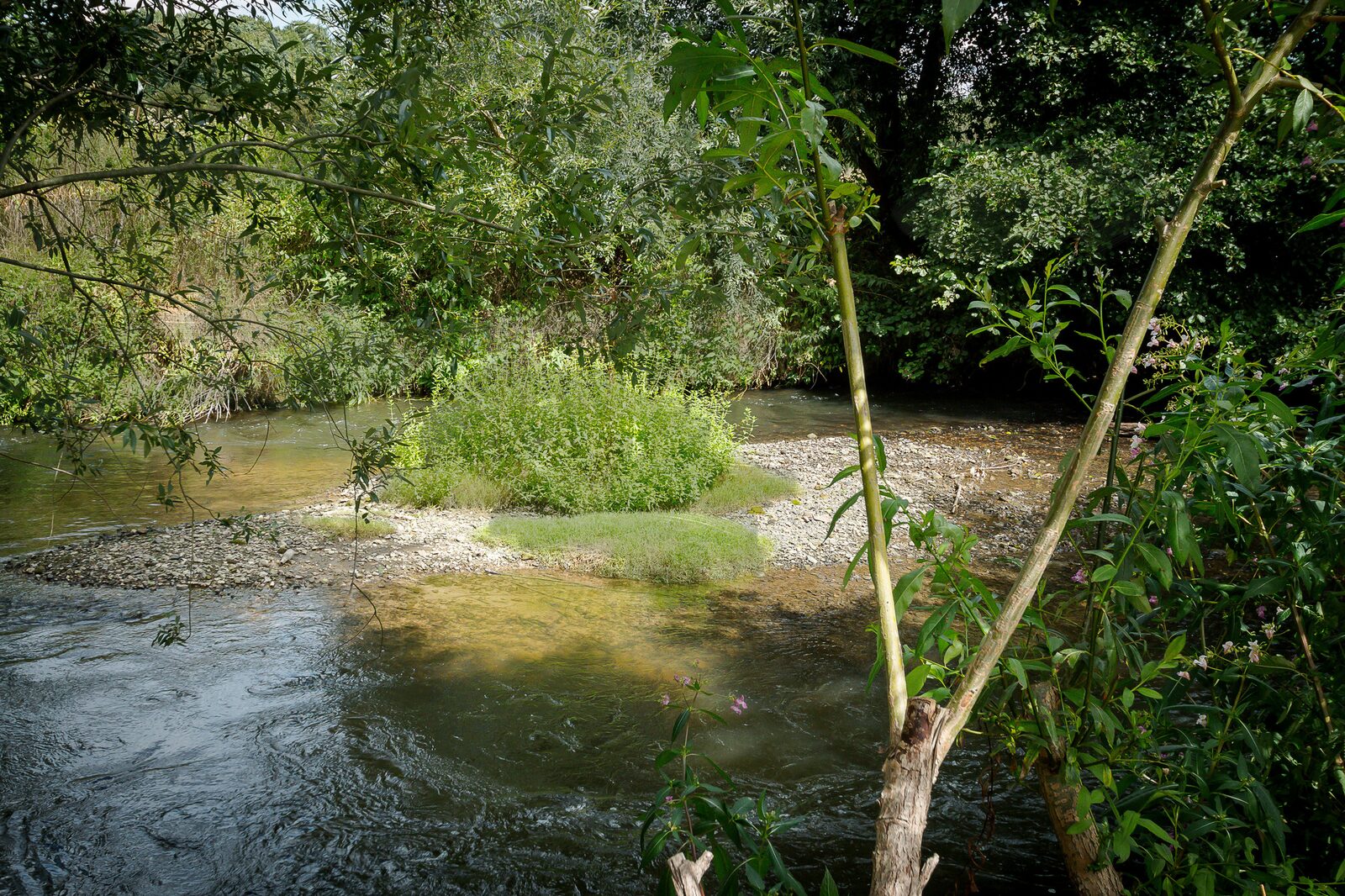 Stellplatz am Fluss für Wohnmobil 