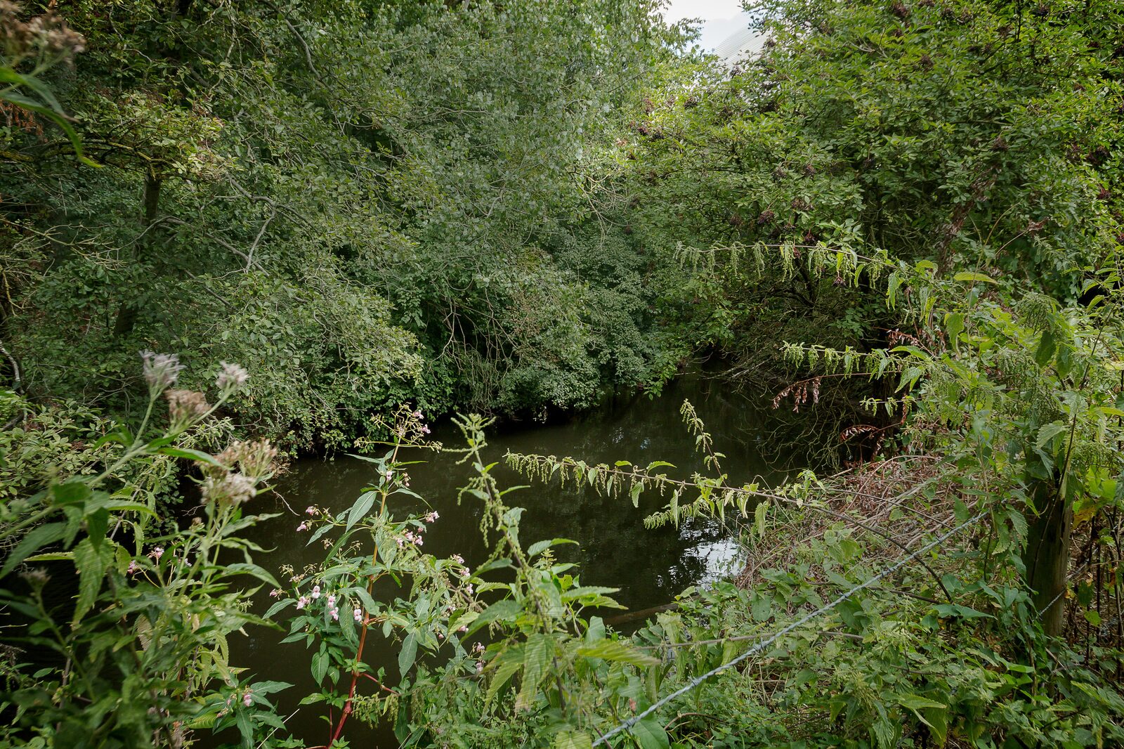 Motorhome pitch river view