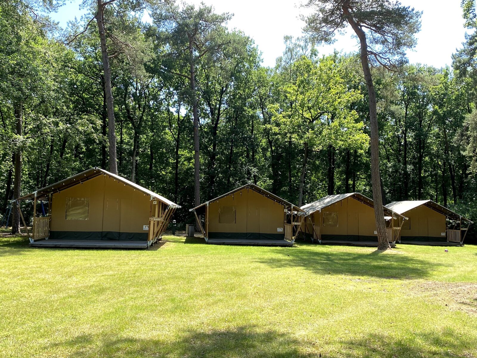 Safaritenten 6 persoons