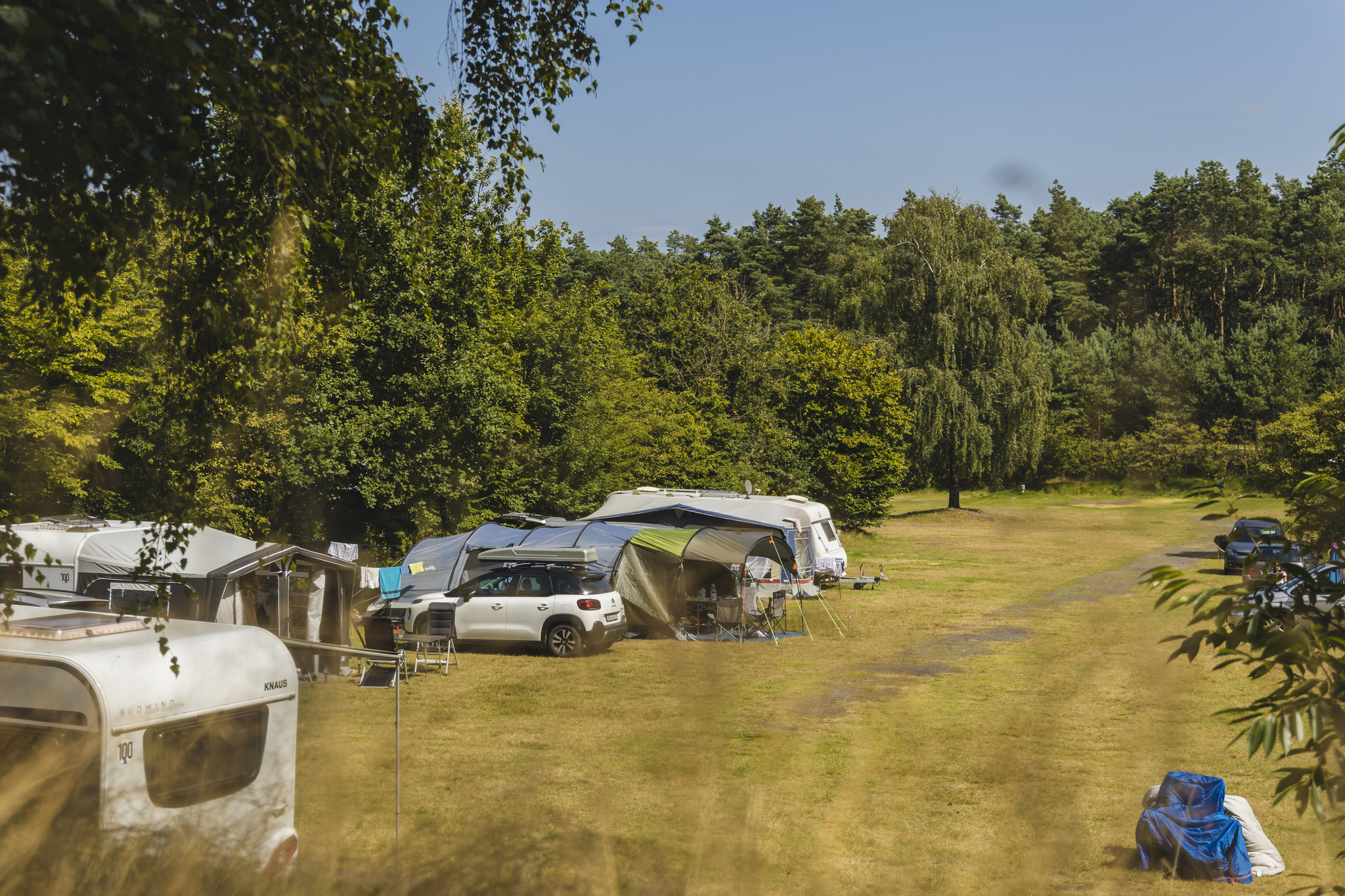 Posto comfort - Animali non ammessi