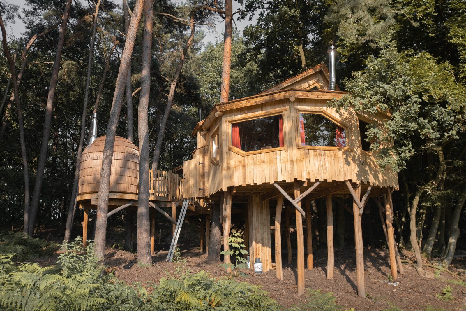Tree House 3