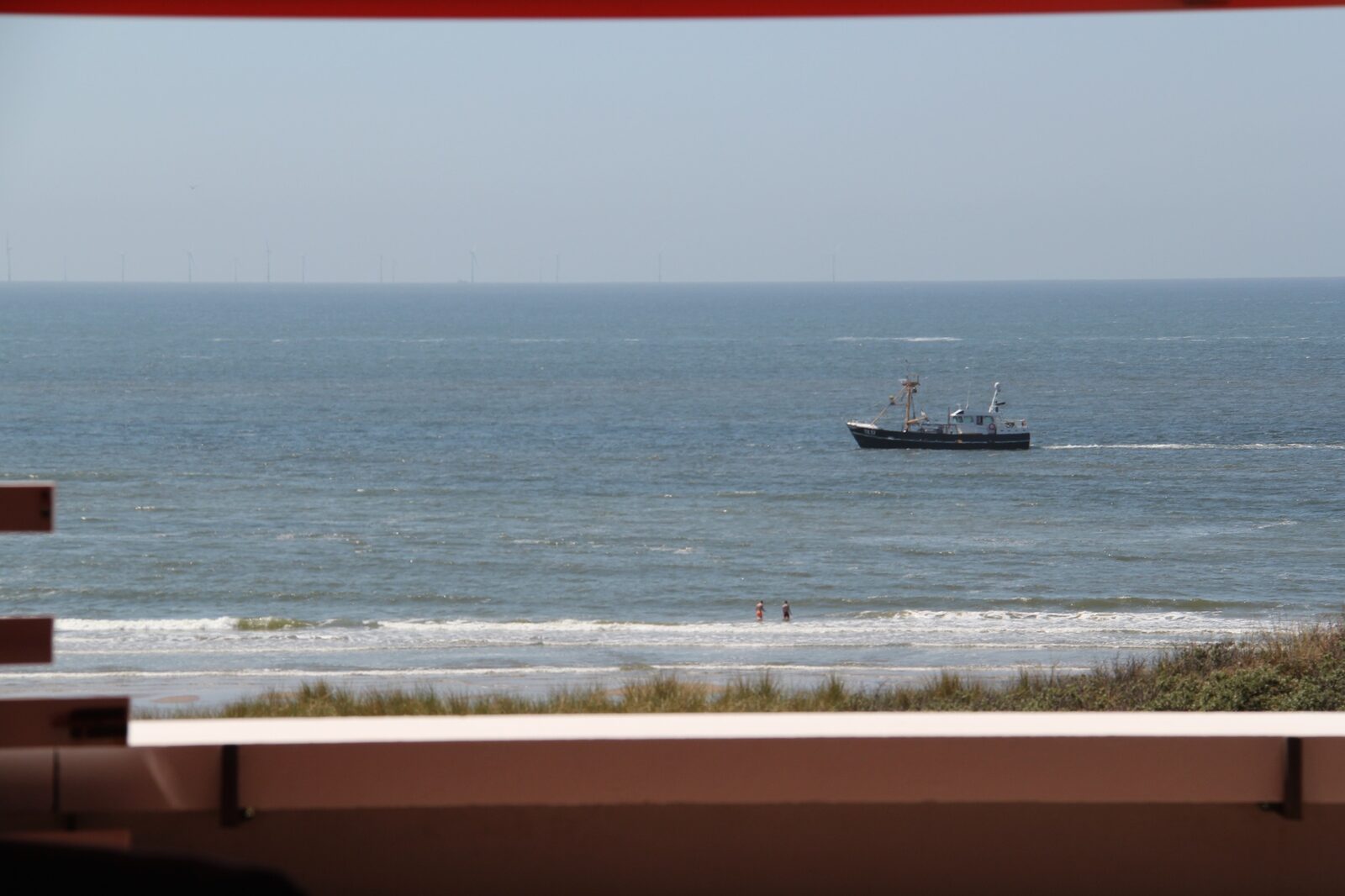 Zeehond