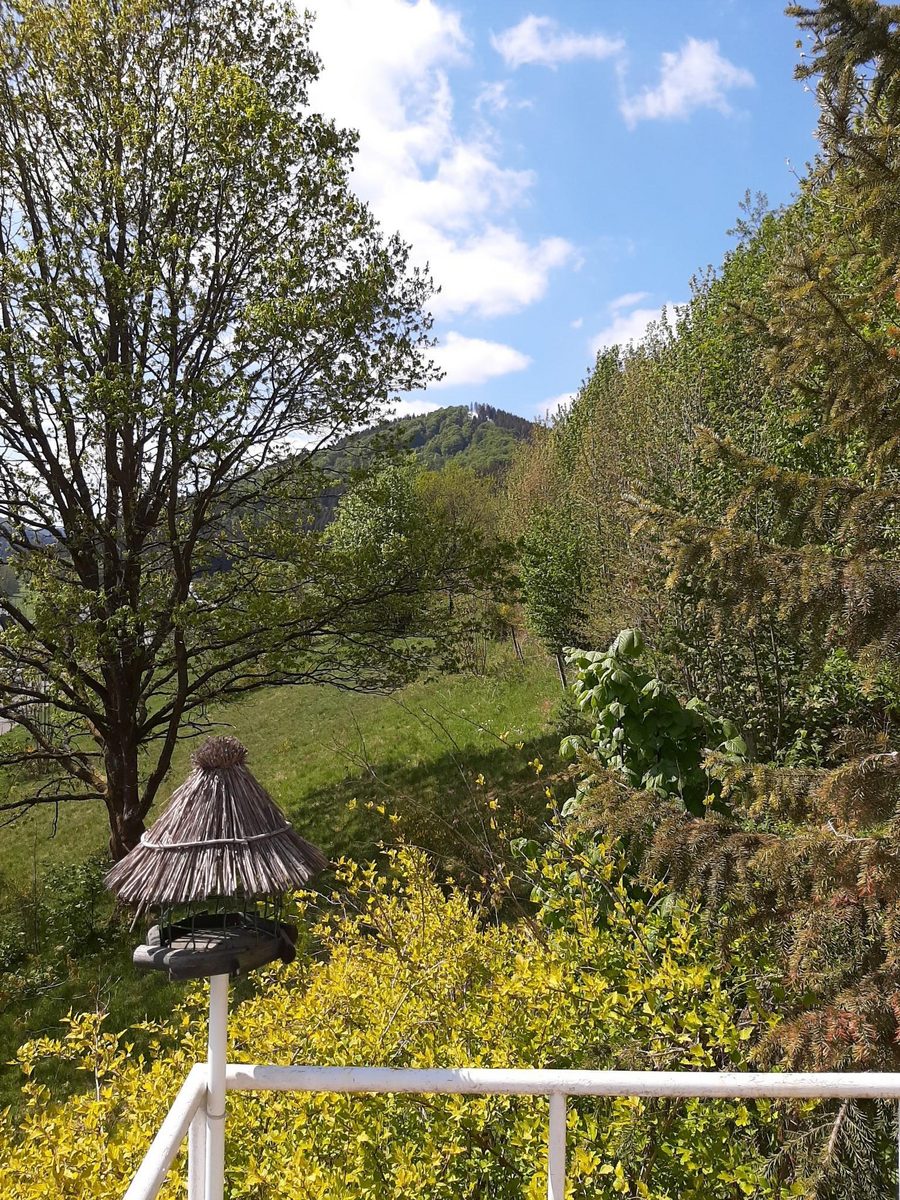 Vakantiehuis Am Hömberg