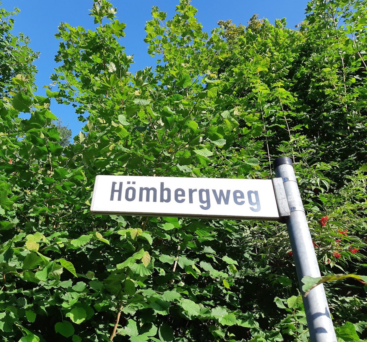 Vakantiehuis Am Hömberg