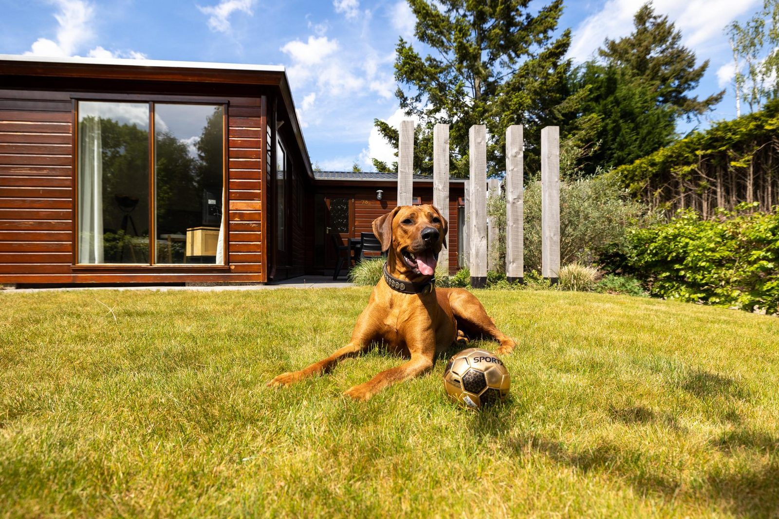 Cozy Lodge | 5 persons