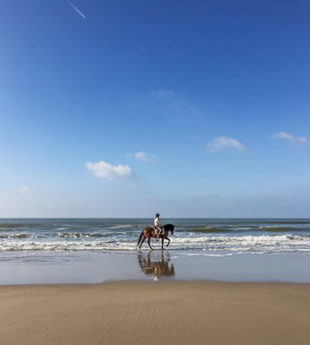 De Molen van Egmond