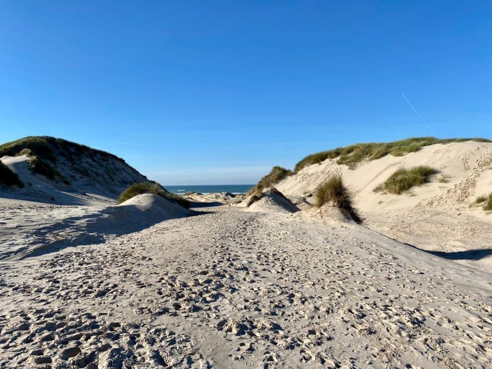 Relaxen aan de kust - 52 met sauna