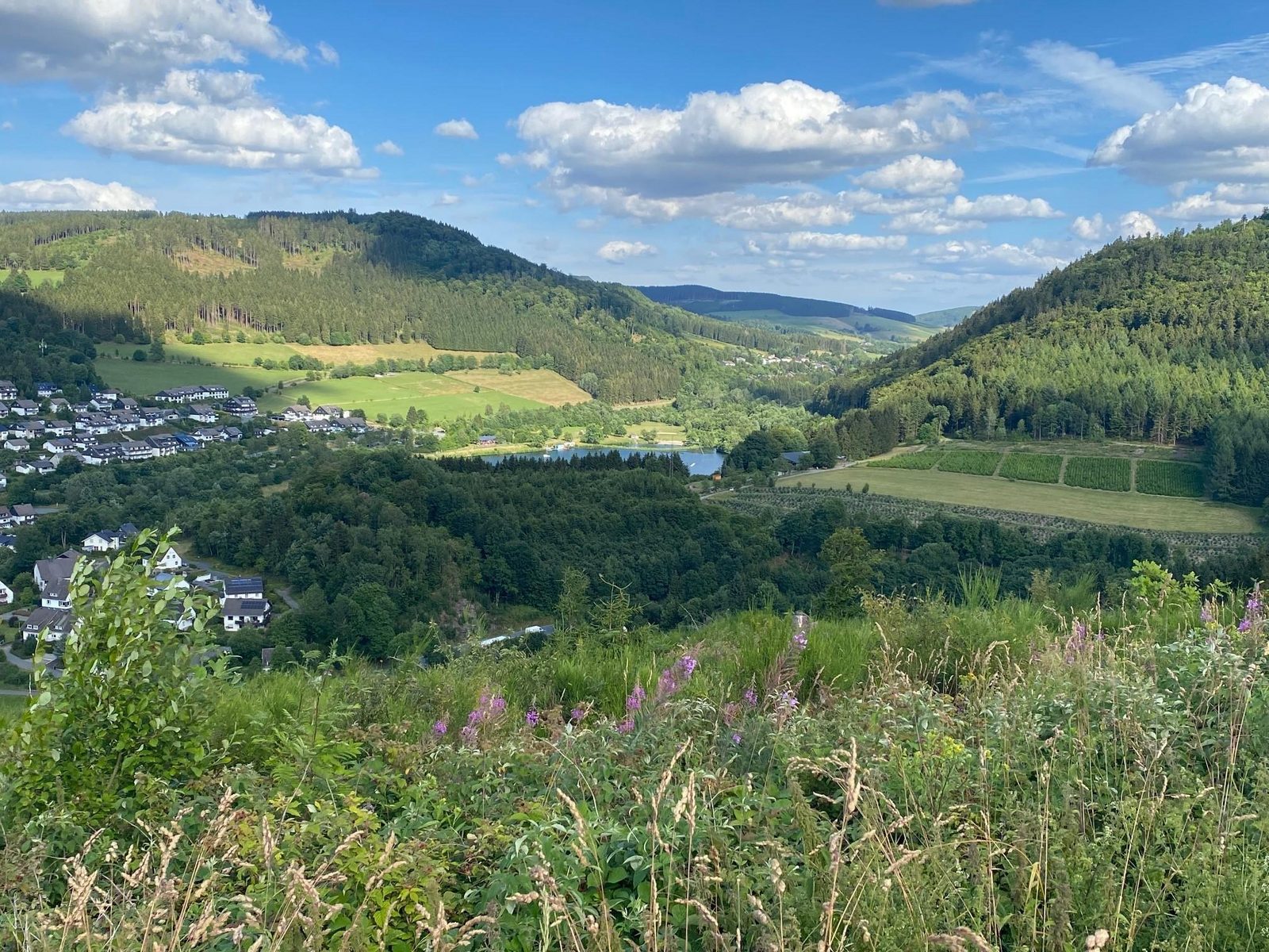 Studio Am Eschenberg 4