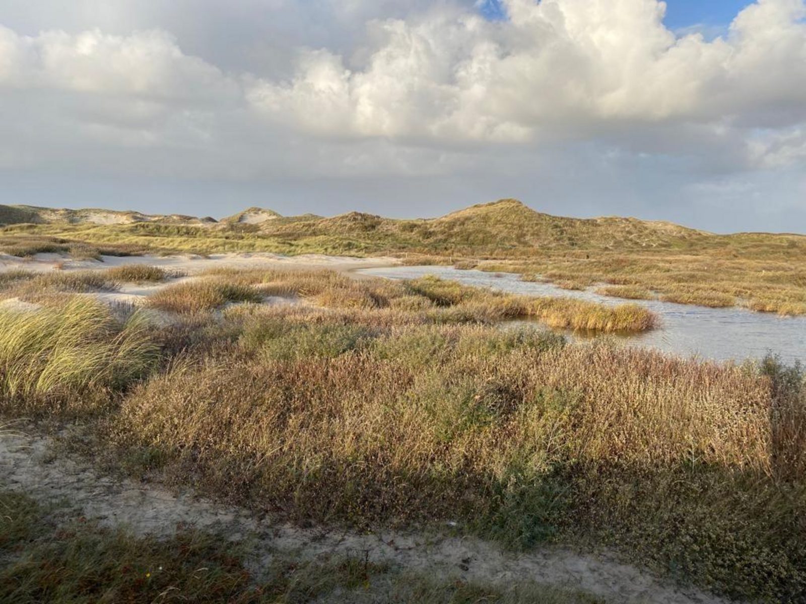 Slapen aan Zee Sint Maarten - 78