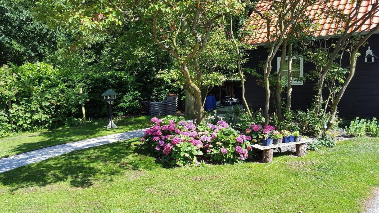 VZ1177 Ferienwohnung in Domburg