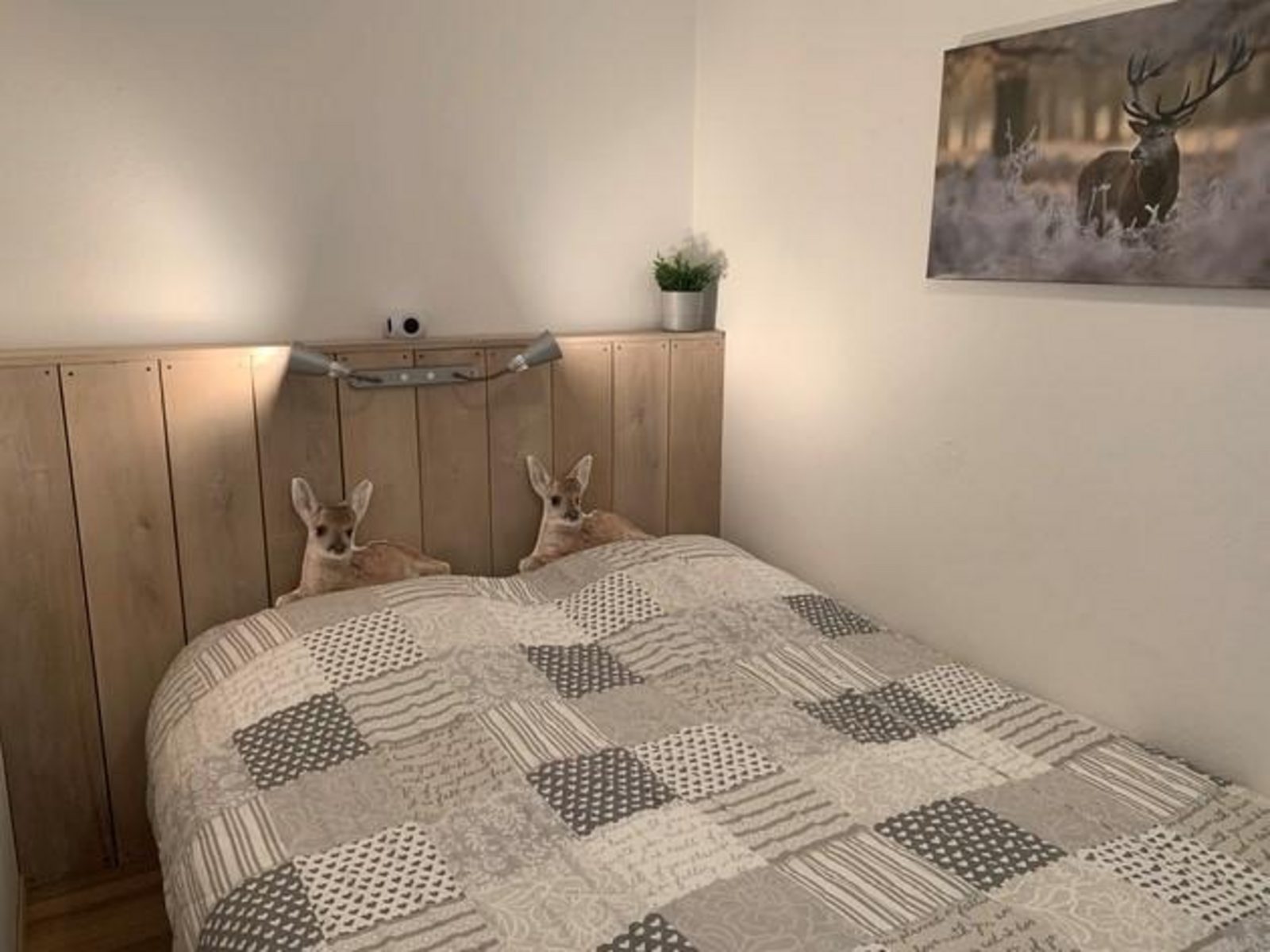 Apartment Rothaarsteig