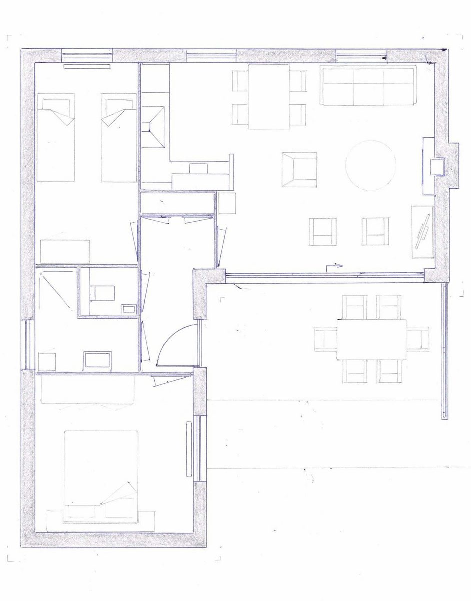 Campanula 11
