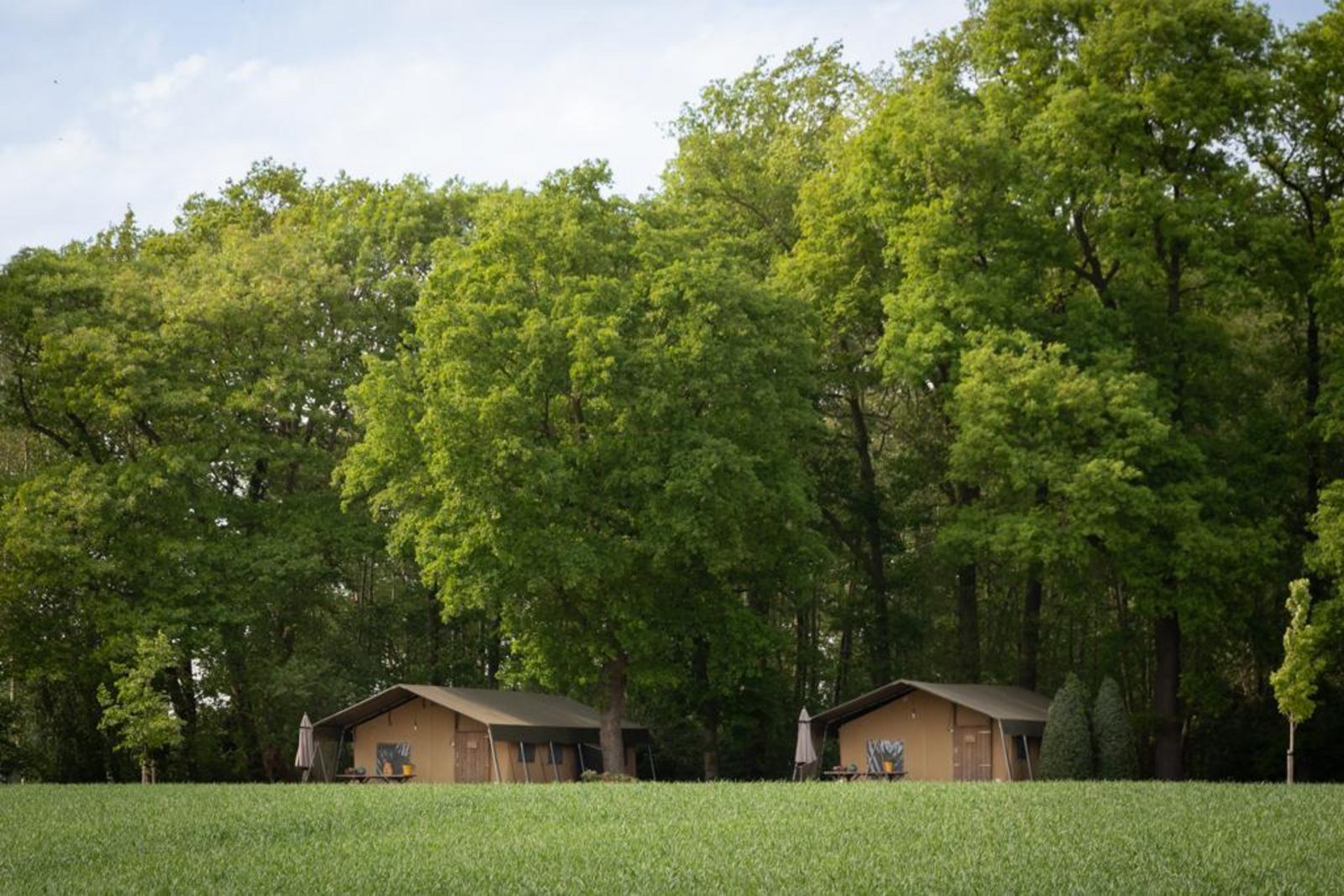 Luxe safaritent met badkamer