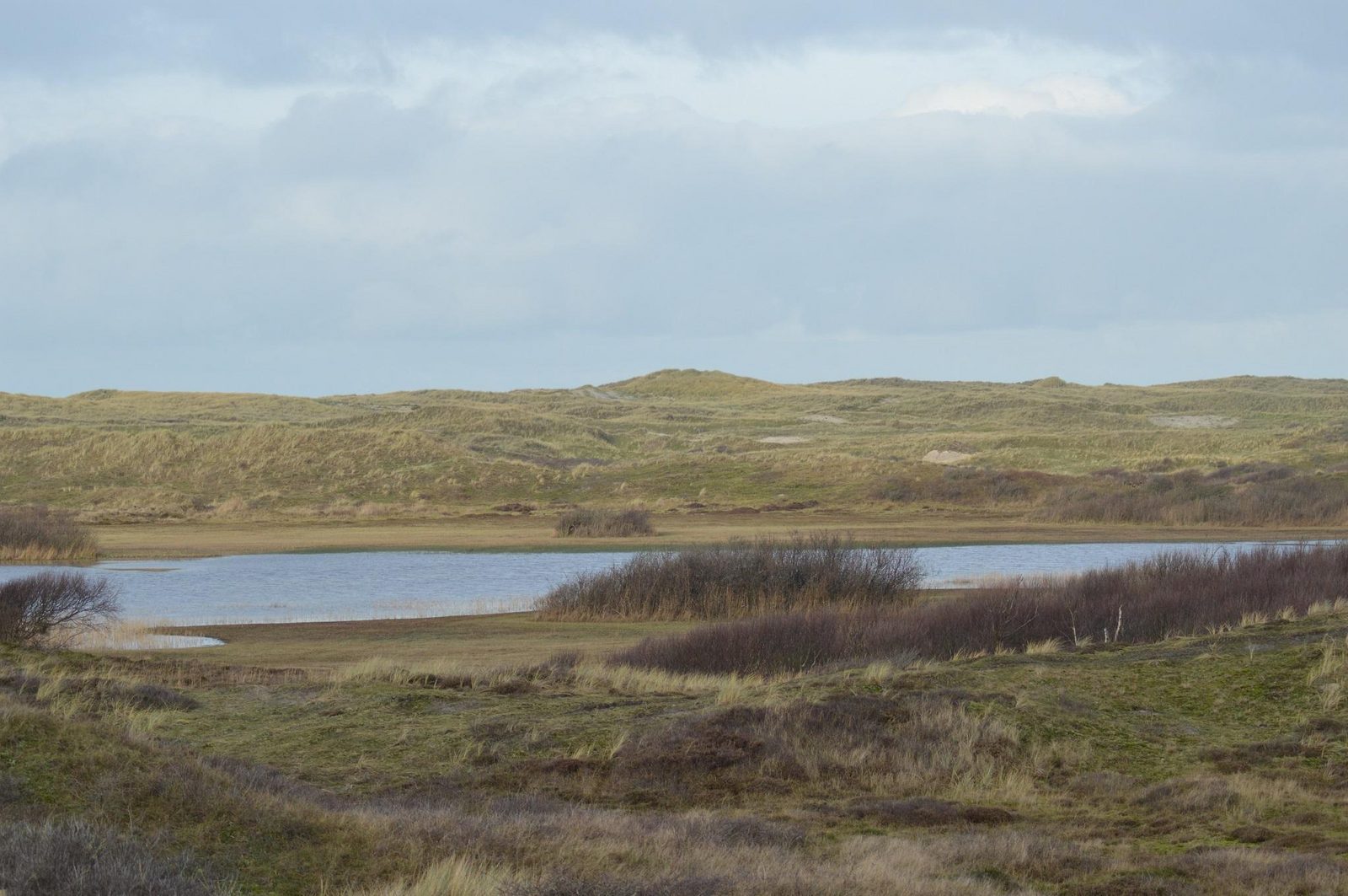De Schelp 26