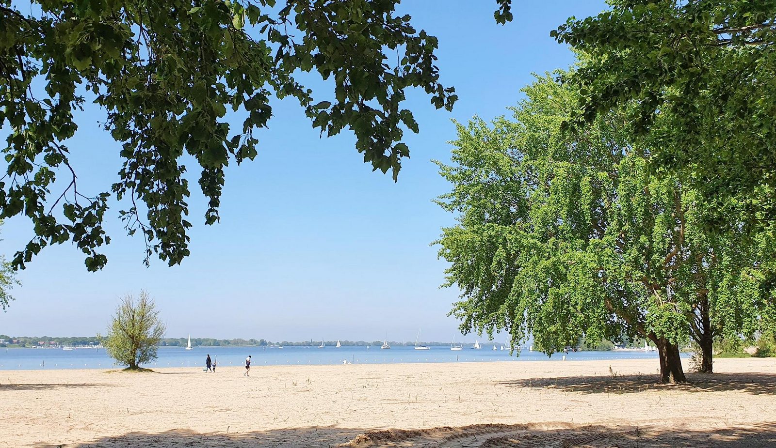 Safarilodge 5 persoons Almere