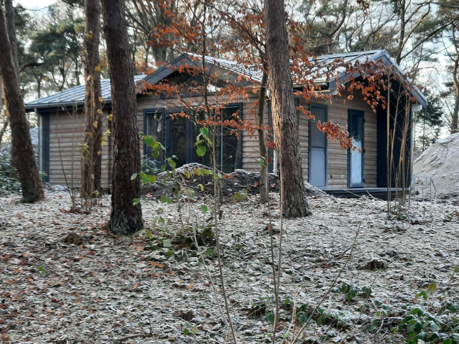 Bospark chalet | 4 persoons