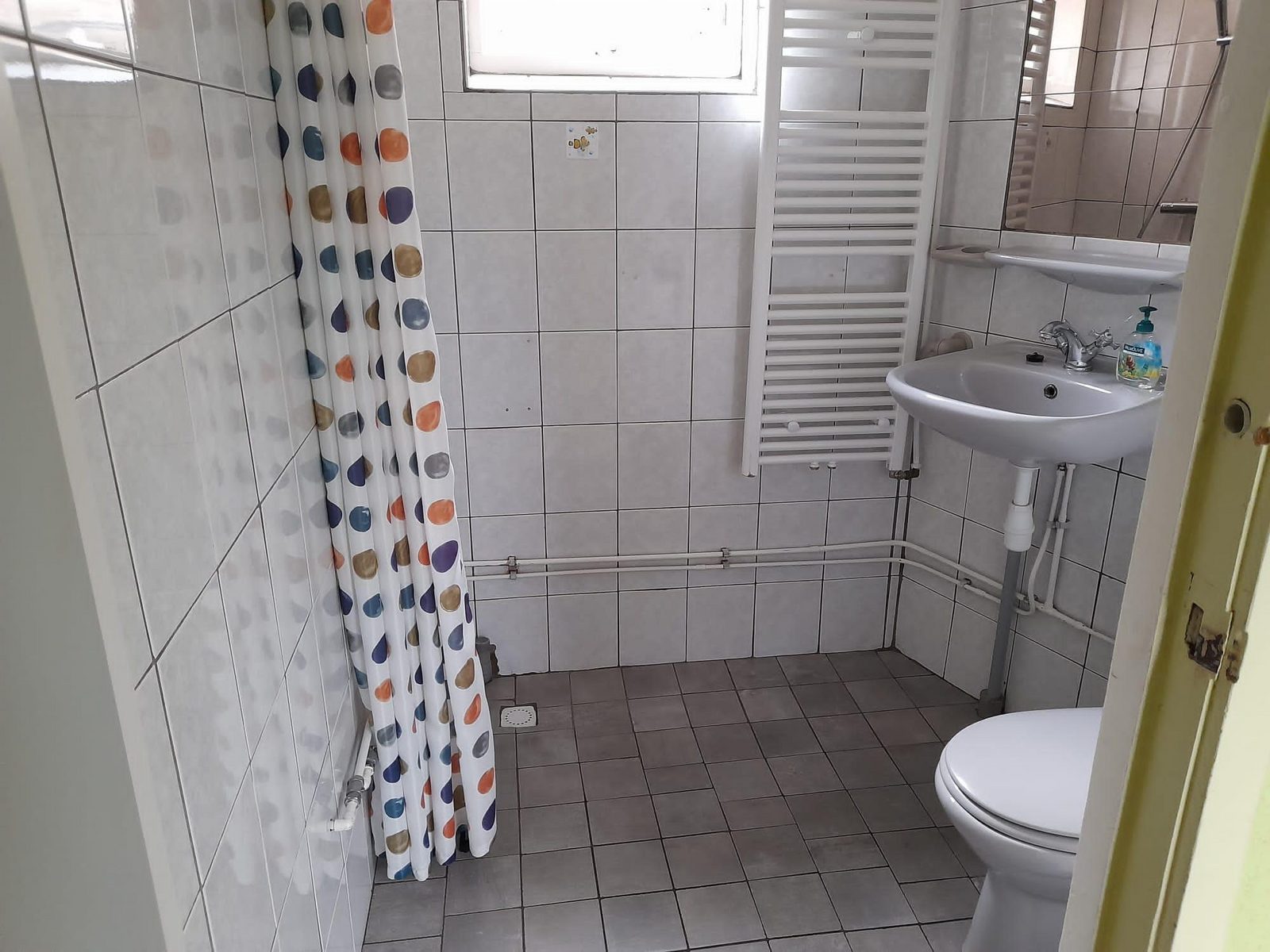 Ruigeweg 100